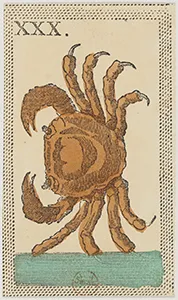 Historical Minchiate di Firenze card 30 depicting Il Cancro, Cancer