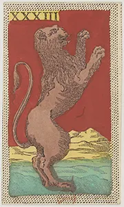 Historical Minchiate di Firenze card 33 depicting Il Leone, Leo